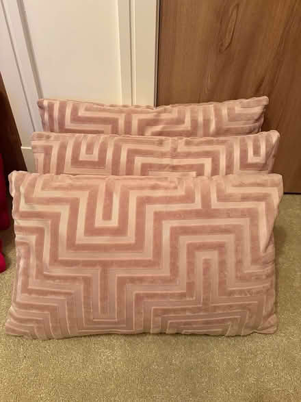 Photo of free Cushions (Eh288af) #1