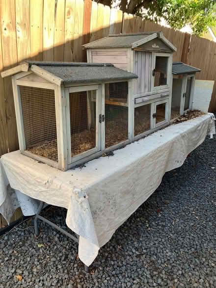 Photo of free Rabbit Hutch including base table (Near Birdville School) #2