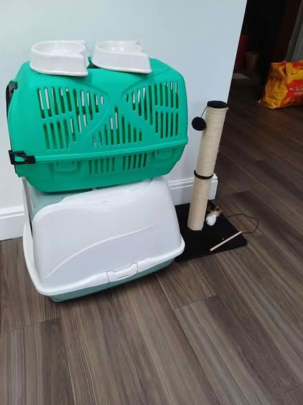 Photo of free Cat bits and bobs (New Malden kt30) #1