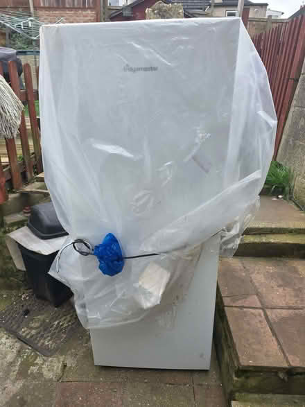 Photo of free Fridge (Plumstead SE18) #1