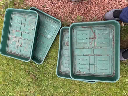 Photo of free 4 seed trays (Denton's Green WA10) #1