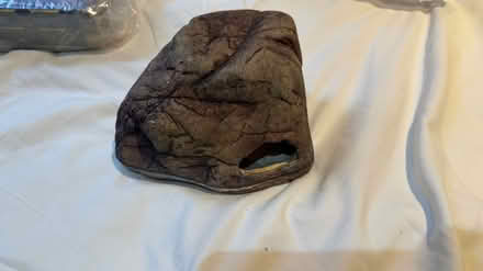 Photo of free Lizard stuff (Kingston centre KT1) #3