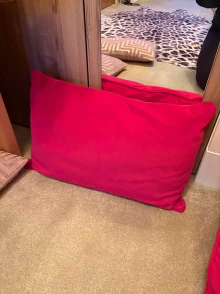 Photo of free Cushions (Eh288af) #2