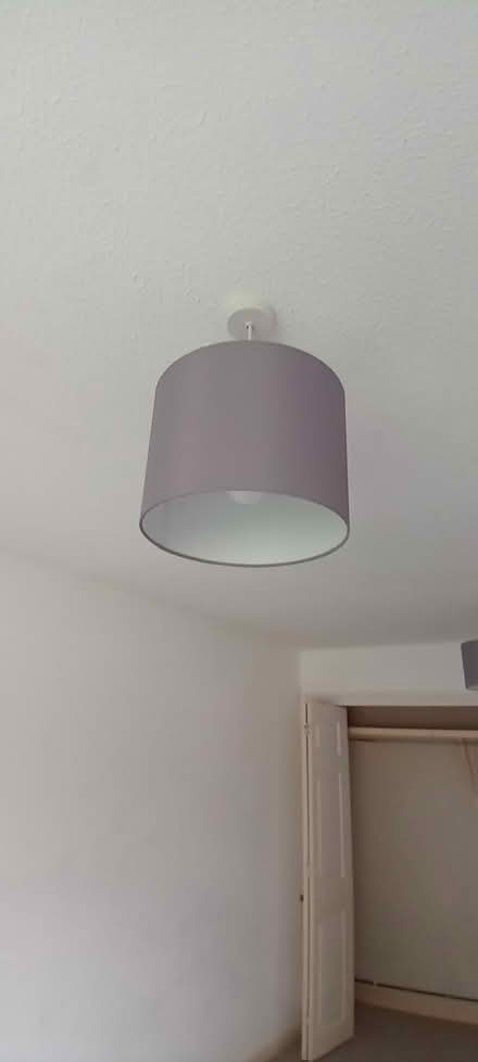 Photo of free Ceiling light shades (Barry, CF62) #1