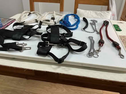 Photo of free Pet accessories (Spondon DE21) #1