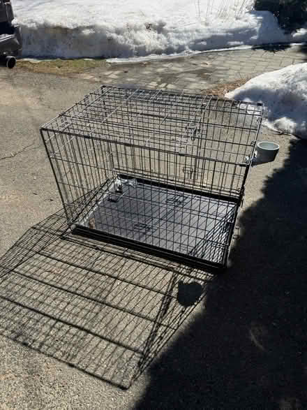 Photo of free Dog crate (Lexington center) #1