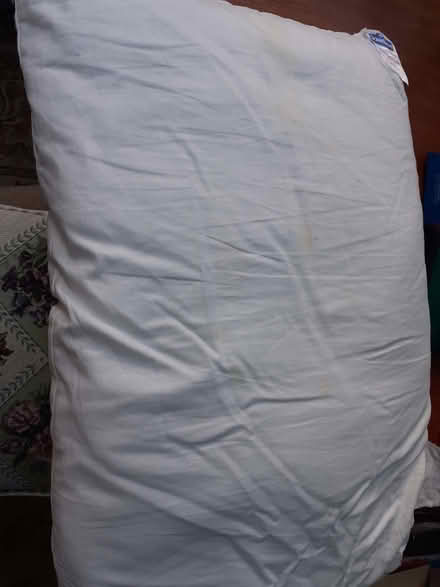 Photo of free Kapok for craft stuffing (Southport PR8) #1