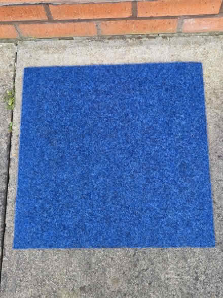 Photo of free Royal Blue Carpet Tiles - New (Dumpling Hall, NE15) #1