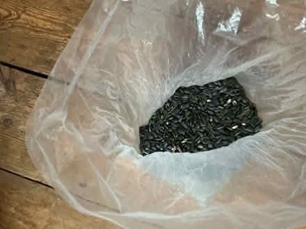 Photo of free Bird seed (Whitehawk BN2) #1
