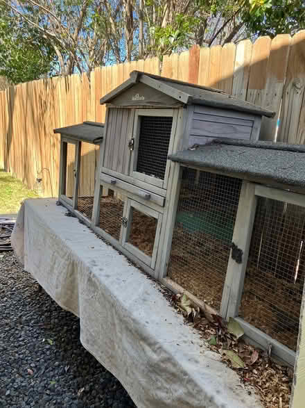 Photo of free Rabbit Hutch including base table (Near Birdville School) #1