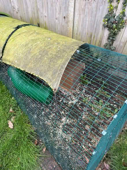 Photo of free Omlet rabbit hutch / run (Kingston Gate KT2) #2