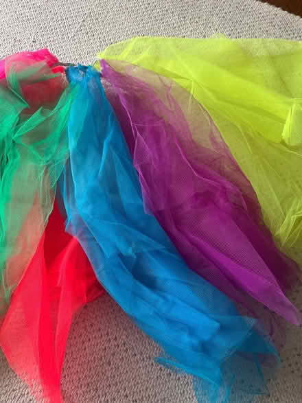 Photo of free Multi coloured netting for projects (Teignmouth TQ14) #2