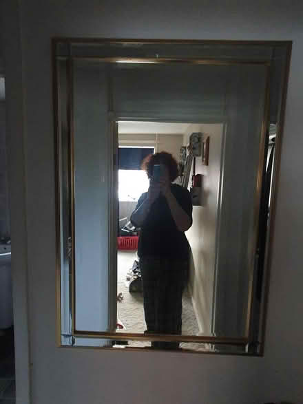 Photo of free Mirror #4 (Hemel Hempstead HP2) #1