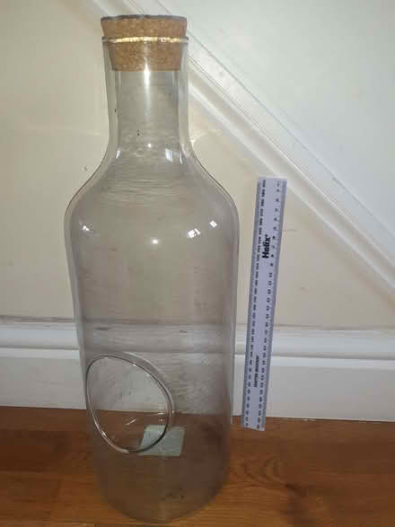 Photo of free Bottle Garden Terrarium (Kingsway) #1