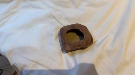 Photo of free Lizard stuff (Kingston centre KT1) #4