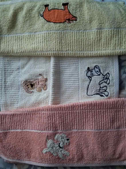 Photo of free 4 small hand towels (Styvechale, Coventry) #1