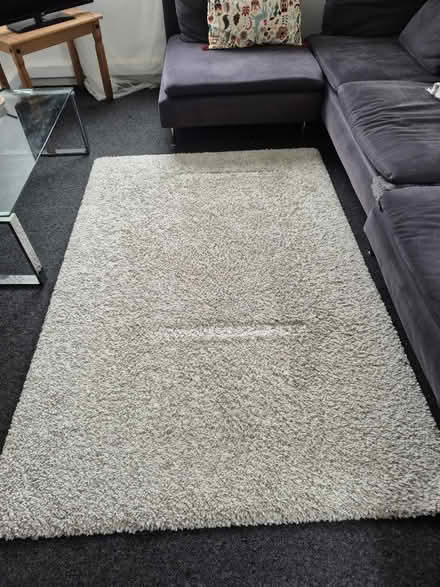 Photo of free Alhede IKEA rug 133cm x 195cm (Sw48hd) #1