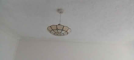 Photo of free Ceiling light shades (Barry, CF62) #2