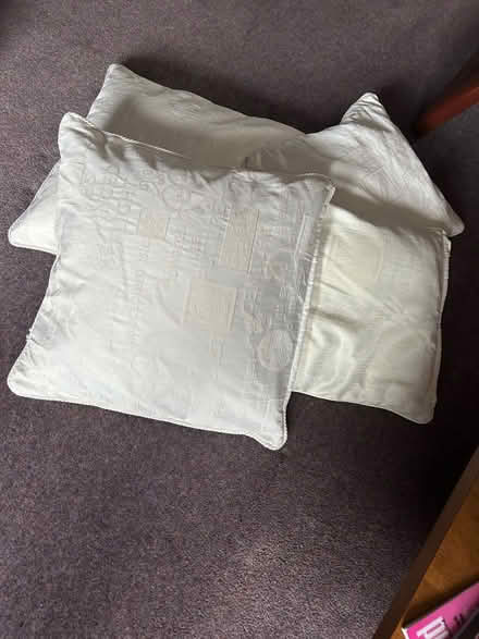 Photo of free Cushions + covers (Funtley PO17) #1
