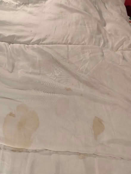 Photo of free Double quilt (Manchester M19) #2