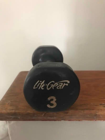 Photo of free One 3 pound weight (Leslieville) #1