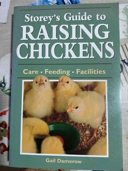 Photo of free Keeping Chickens (Weston Rhyn SY10) #1