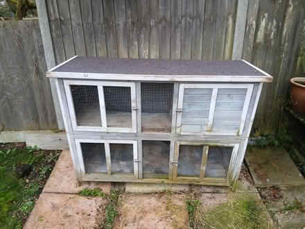 Photo of free Bluebell hutch (LU6 northall) #2
