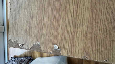 Photo of free Open shelves (Witney OX28 Deer Park) #2