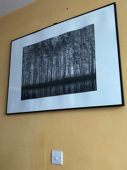 Photo of free 2 woodland framed pictures (Bracknell RG12) #1