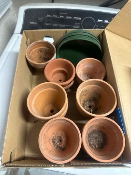 Photo of free Bunch of small planter pots (Castro Valley) #1