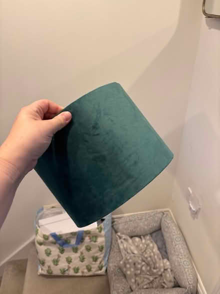 Photo of free Two emerald green light shades (Broomgrove TN34) #2