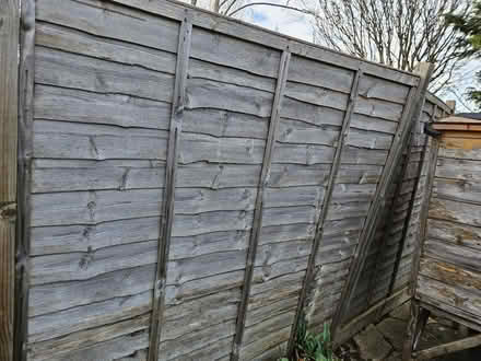 Photo of free Fence panels (Orpington, BR5) #2