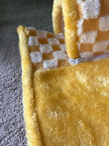 Photo of free Small pet hideout (Alvarado-Niles) #2