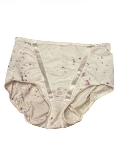 Photo of free Maidenform Woman’s Bottoms (Brooklyn Storage) #1