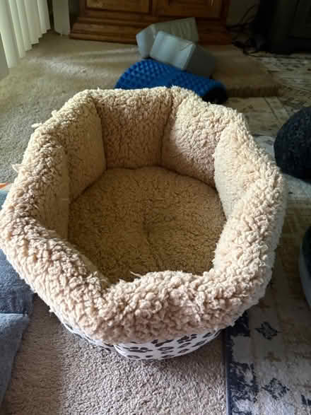 Photo of free pet bed (Alvarado-Niles) #2