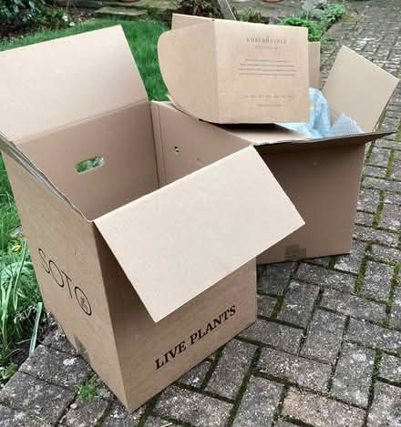 Photo of free Very large boxes (Woodford IG8) #1