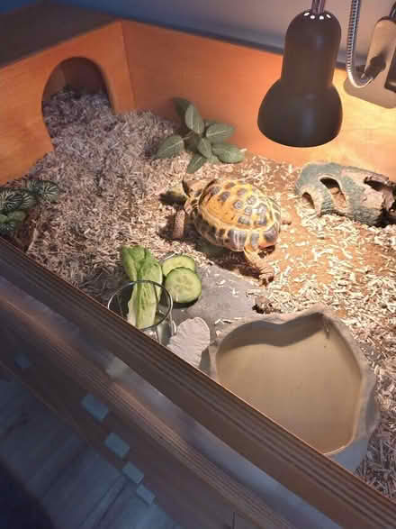 Photo of Rabbit run (Calow S44) #1