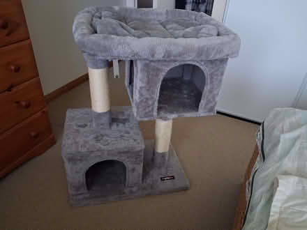 Photo of free Cat condo on 2 levels. (Glenrothes KY7) #2