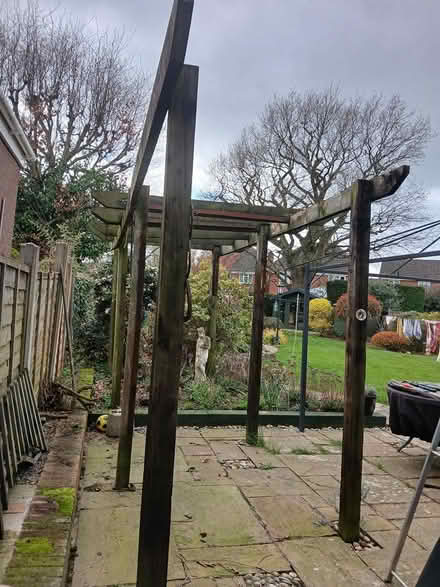 Photo of free Garden timber (Copthorne) #3