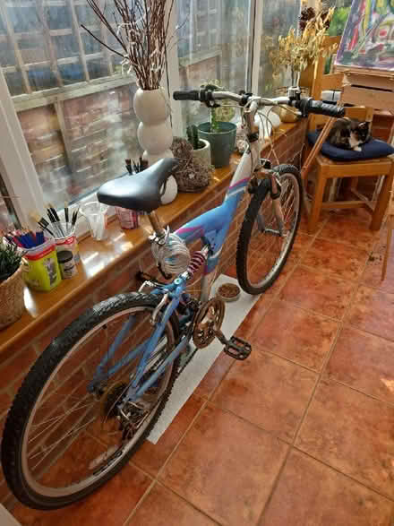 Photo of free Chairs & Bags of Books – LU2 (Warden Hill LU2) #4