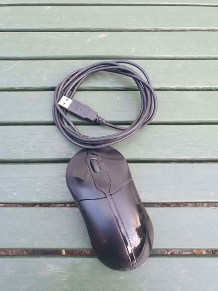 Photo of free Mouse (0ffer 10) (Booker HP12) #1