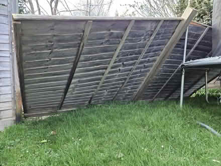Photo of free Fence panels (Orpington, BR5) #1