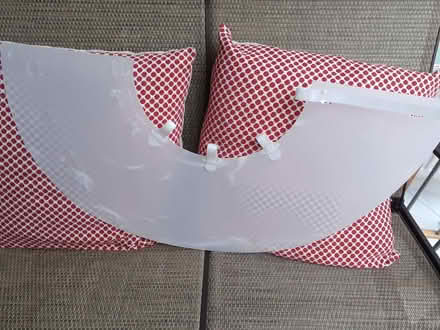 Photo of free Dogs 'Cone of Shame' (Southport PR8) #1