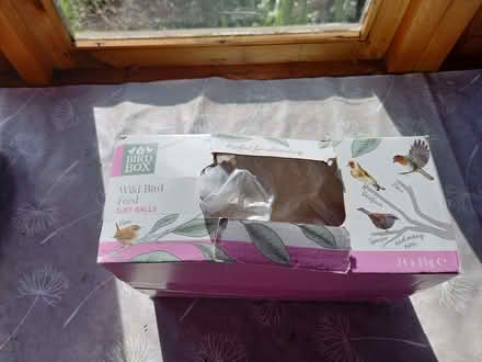 Photo of free Wild Bird Feed Suet Balls (New Malden KT3) #1