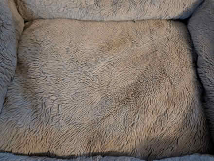 Photo of free Fluffy grey dog or cat bed (Hoddesdon EN11) #2