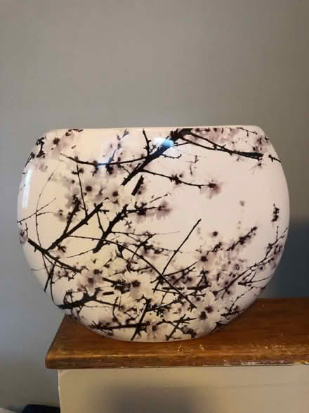 Photo of free Vase (Leslieville) #1