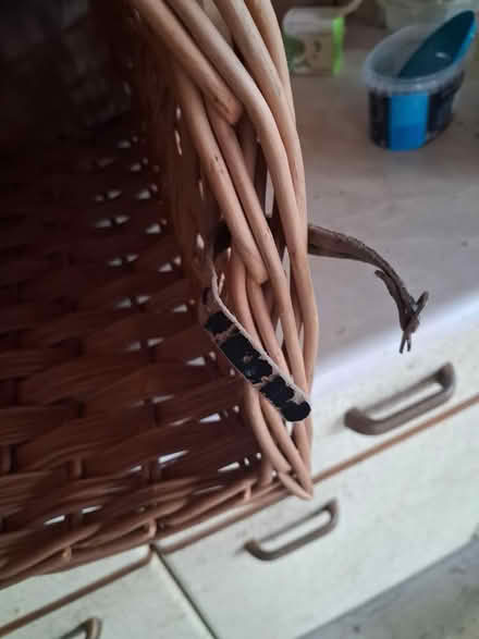 Photo of free Pet carrier (Crookesmoor S6) #3