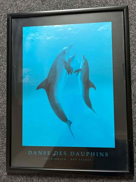 Photo of free Framed print (Woodley RG5) #1