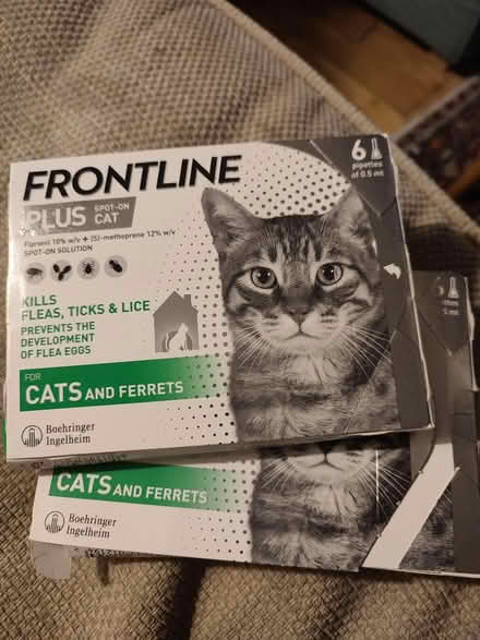 Photo of free Frontline plus (WD23 Bushey) #1