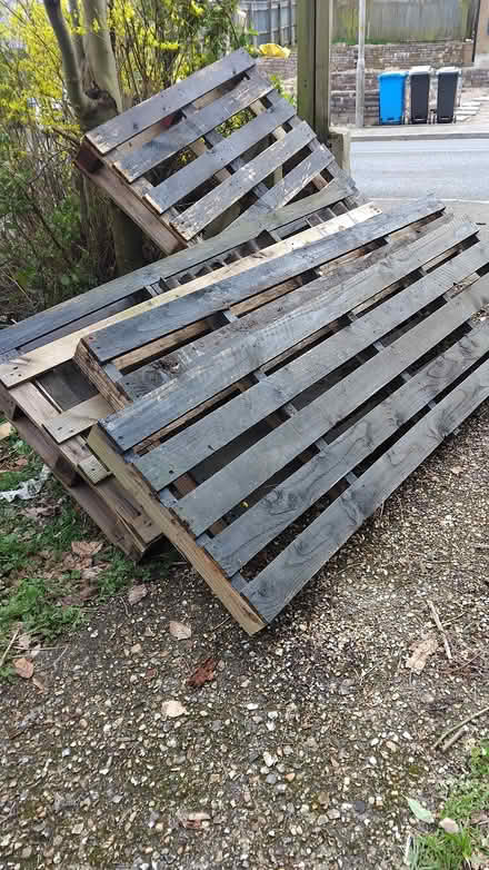 Photo of free Pallets/ timber (Bournemouth/Poole) #1